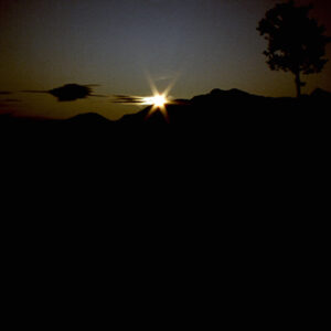 阿里山-MOFA109179CF-2020-12-SL00062-073