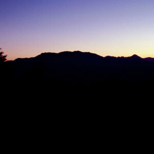 阿里山-MOFA109179CF-2020-12-SL00062-075