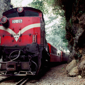 阿里山-MOFA109179CF-2020-12-SL00062-084