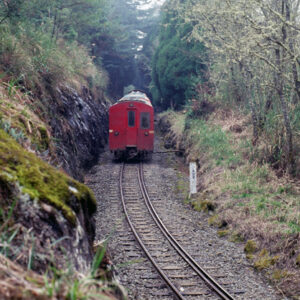 阿里山-MOFA109179CF-2020-12-SL00062-085