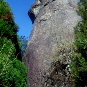 阿里山-MOFA109179CF-2020-12-SL00062-087