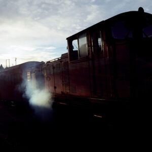 阿里山-MOFA109179CF-2020-12-SL00062-088