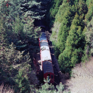 阿里山-MOFA109179CF-2020-12-SL00062-091