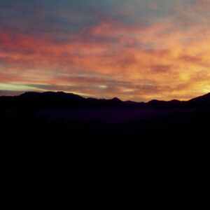 阿里山-MOFA109179CF-2020-12-SL00062-092