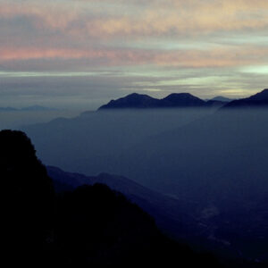 阿里山-MOFA109179CF-2020-12-SL00062-094