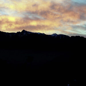 阿里山-MOFA109179CF-2020-12-SL00062-102