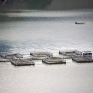 曾文水庫(風光)-MOFA109179CF-2020-12-SL00062-103