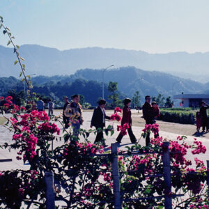 曾文水庫(風光)-MOFA109179CF-2020-12-SL00062-121