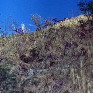 曾文水庫(風光)-MOFA109179CF-2020-12-SL00062-124