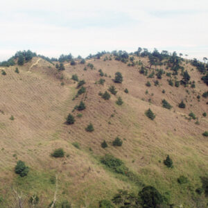 塔塔佳鞍部-MOFA109179CF-2020-12-SL00062-132