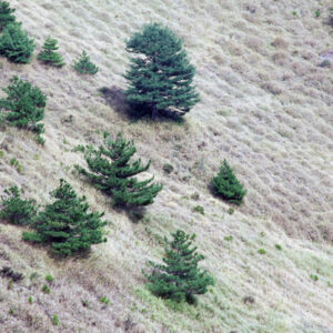 塔塔佳鞍部-MOFA109179CF-2020-12-SL00062-133