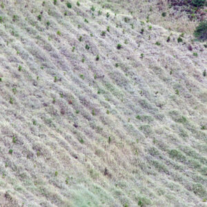 塔塔佳鞍部-MOFA109179CF-2020-12-SL00062-137