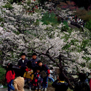 塔塔佳鞍部-MOFA109179CF-2020-12-SL00062-139