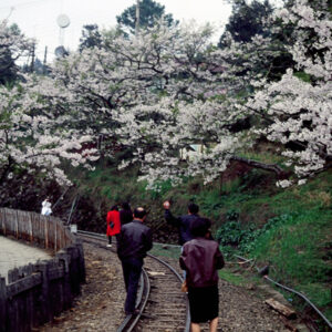 塔塔佳鞍部-MOFA109179CF-2020-12-SL00062-142