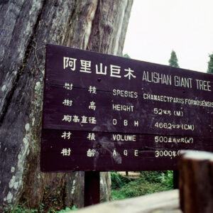 塔塔佳鞍部-MOFA109179CF-2020-12-SL00062-143