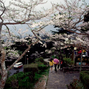 塔塔佳鞍部-MOFA109179CF-2020-12-SL00062-145