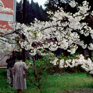 塔塔佳鞍部-MOFA109179CF-2020-12-SL00062-148