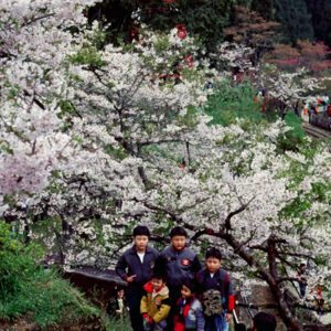 塔塔佳鞍部-MOFA109179CF-2020-12-SL00062-149