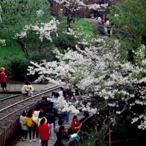 塔塔佳鞍部-MOFA109179CF-2020-12-SL00062-150