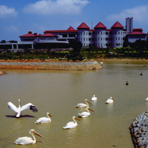 六福野生動物園-MOFA109179CF-2020-12-SL00064-002