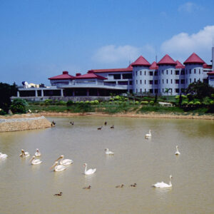 六福野生動物園-MOFA109179CF-2020-12-SL00064-003