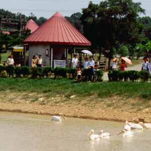 六福野生動物園-MOFA109179CF-2020-12-SL00064-010
