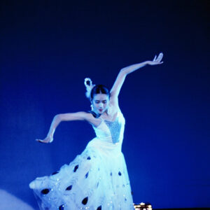 大陸舞蹈家楊麗萍公演-MOFA109179CF-2020-12-SL00065-099