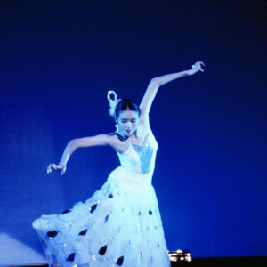 大陸舞蹈家楊麗萍公演-MOFA109179CF-2020-12-SL00065-100