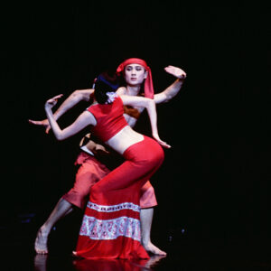 大陸舞蹈家楊麗萍公演-MOFA109179CF-2020-12-SL00065-103