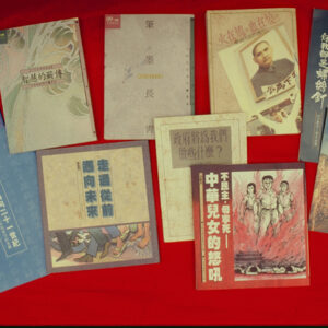 公視-MOFA109179CF-2020-12-SL00066-049