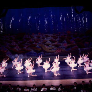 龍宮奇緣-MOFA109179CF-2020-12-SL00069-099