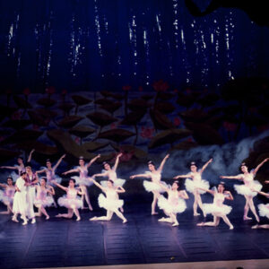 龍宮奇緣-MOFA109179CF-2020-12-SL00069-101