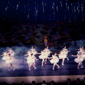 龍宮奇緣-MOFA109179CF-2020-12-SL00069-110