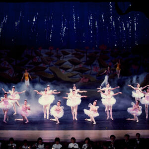 龍宮奇緣-MOFA109179CF-2020-12-SL00069-112