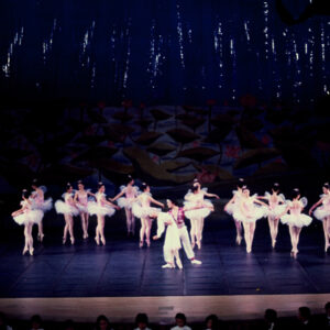 龍宮奇緣-MOFA109179CF-2020-12-SL00069-117