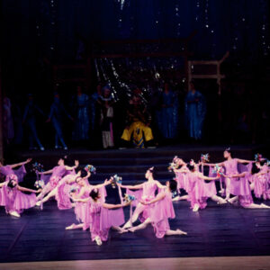 龍宮奇緣-MOFA109179CF-2020-12-SL00069-131