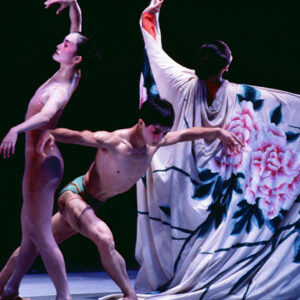 雲門舞集戶外公演紅樓夢-MOFA109179CF-2020-12-SL00071-233