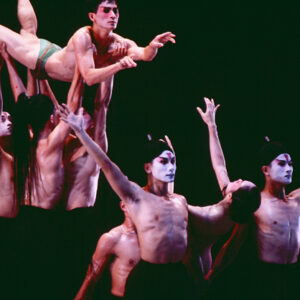 雲門舞集戶外公演紅樓夢-MOFA109179CF-2020-12-SL00071-240