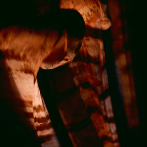 林秀偉舞在春天「無盡胎藏」-MOFA109179CF-2020-12-SL00074-112