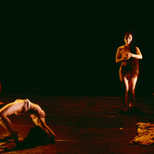 林秀偉舞在春天「無盡胎藏」-MOFA109179CF-2020-12-SL00074-119