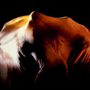 林秀偉舞在春天「無盡胎藏」-MOFA109179CF-2020-12-SL00074-121