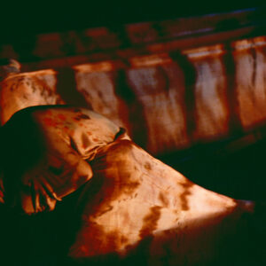 林秀偉舞在春天「無盡胎藏」-MOFA109179CF-2020-12-SL00074-129