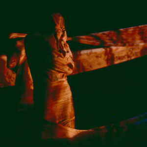 林秀偉舞在春天「無盡胎藏」-MOFA109179CF-2020-12-SL00074-137