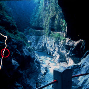 照片資料檔案-MOFA109179CF-2020-12-SL00076-005