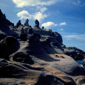 照片資料檔案-MOFA109179CF-2020-12-SL00076-006