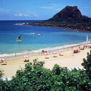 照片資料檔案-MOFA109179CF-2020-12-SL00076-014