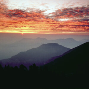 照片資料檔案-MOFA109179CF-2020-12-SL00076-018