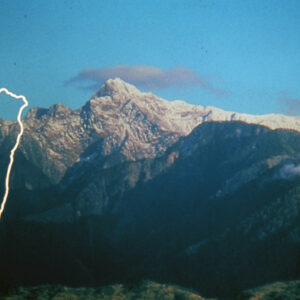 照片資料檔案-MOFA109179CF-2020-12-SL00076-020