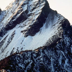 照片資料檔案-MOFA109179CF-2020-12-SL00076-022