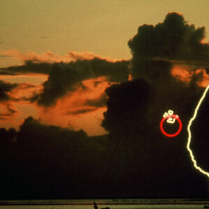 照片資料檔案-MOFA109179CF-2020-12-SL00076-032